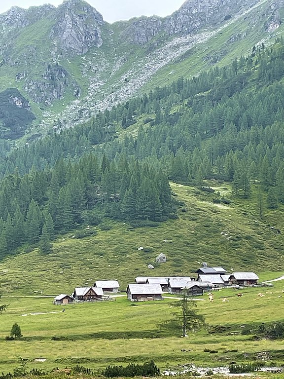 IMG_0252.jpg